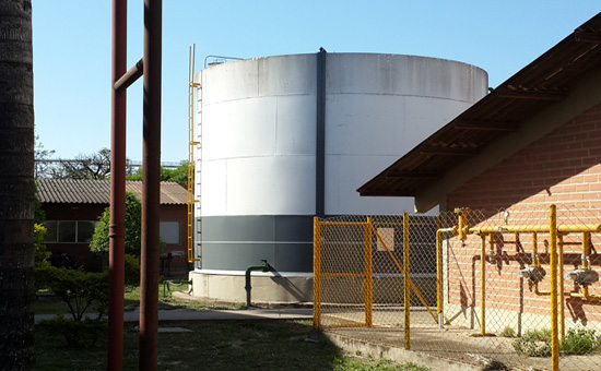 Pulmon de Agua Cruda