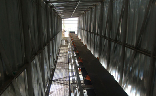 Cinta Transportadora de Granos